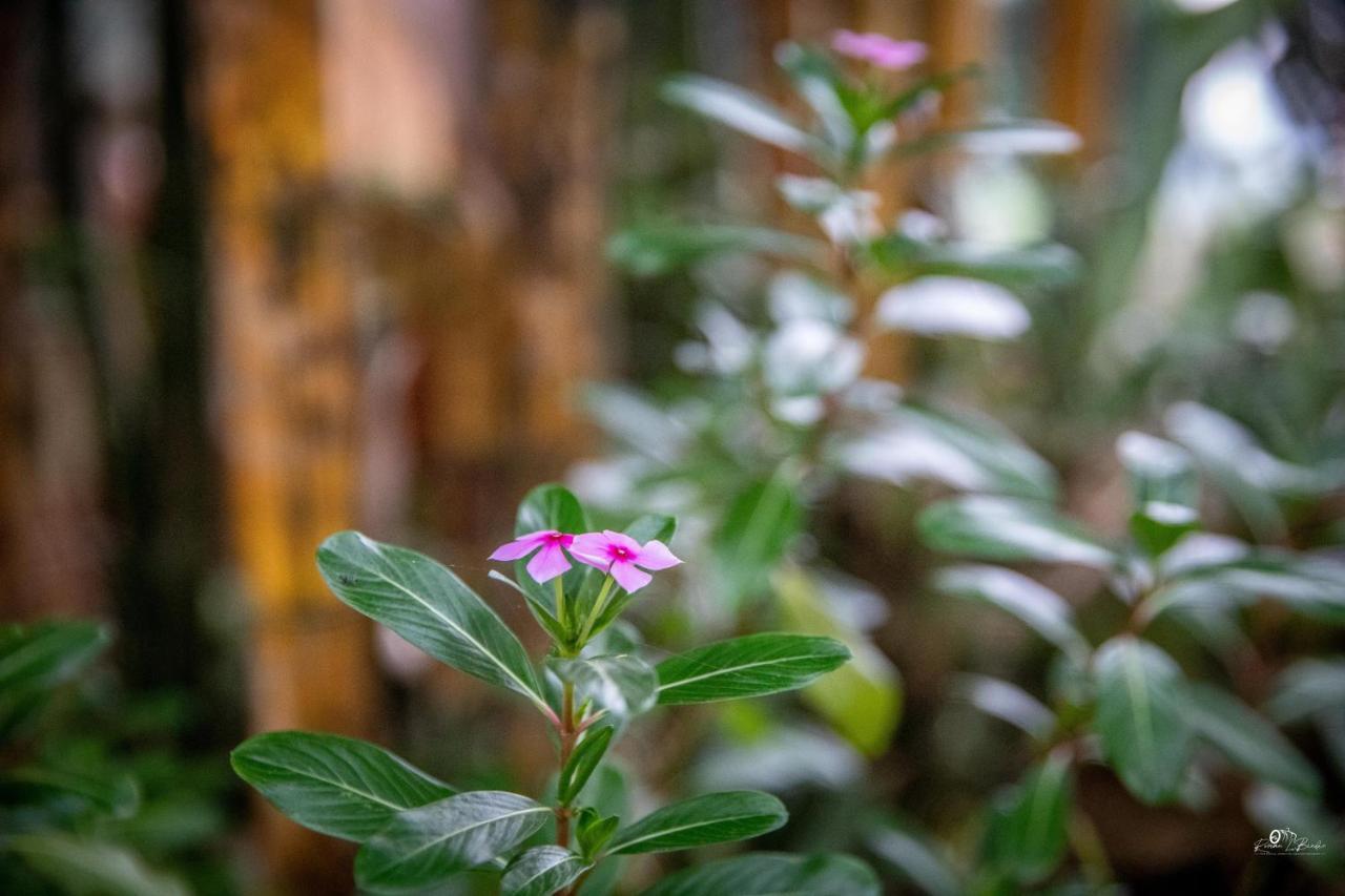 Sapa Riverside Ecolodge & Spa ภายนอก รูปภาพ